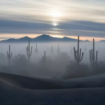 Imagen PNG para descargar